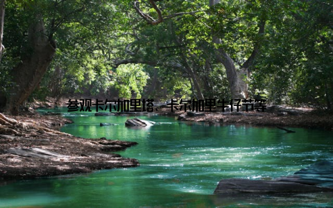 参观卡尔加里塔、卡尔加里牛仔节等