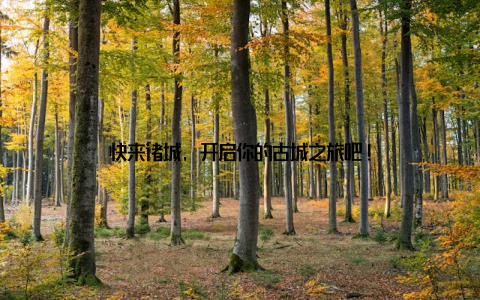 快来诸城, 开启你的古城之旅吧!