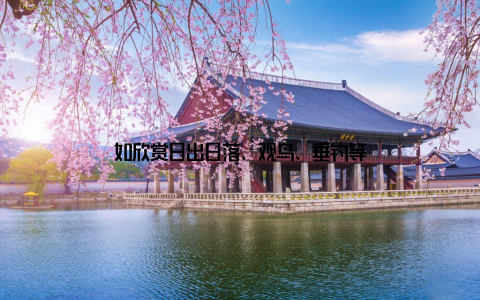 如欣赏日出日落、观鸟、垂钓等