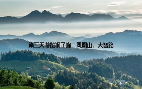 第三天游览狮子峰、凤凰山、大智路