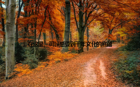 在这里, 可以感受到千年文化的底蕴