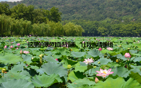 这里的景色如诗如画, 让我心情愉悦