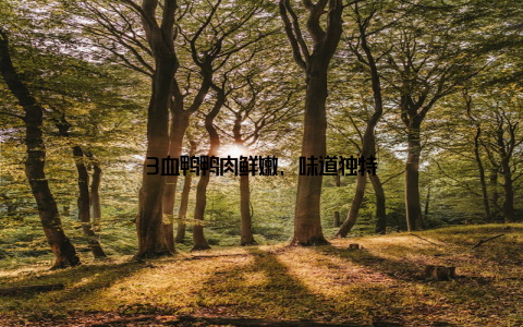 3血鸭鸭肉鲜嫩, 味道独特