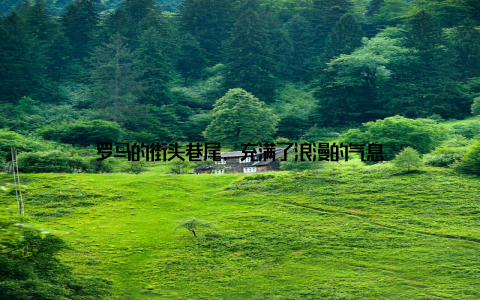 罗马的街头巷尾, 充满了浪漫的气息