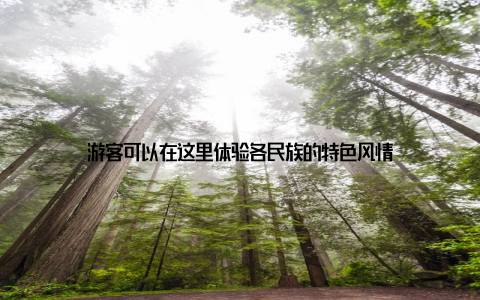 游客可以在这里体验各民族的特色风情