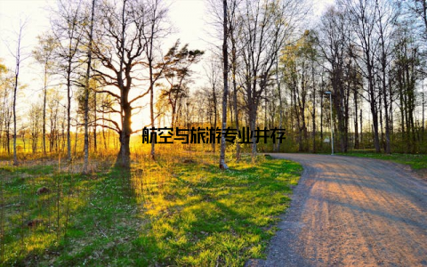 航空与旅游专业并存