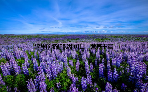 这里的脐橙酸甜可口, 营养丰富