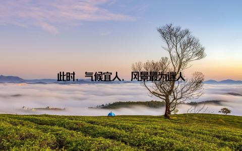 此时, 气候宜人, 风景最为迷人