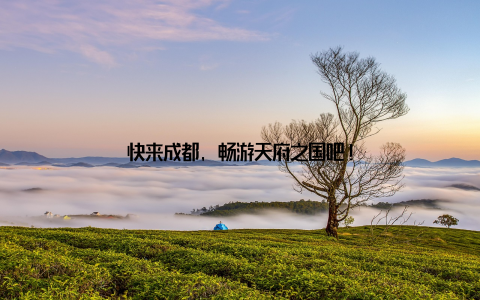 快来成都, 畅游天府之国吧!