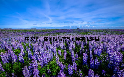 在这里, 你可以品尝到正宗的洱海鱼