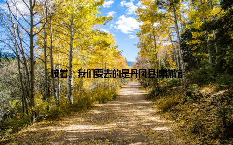 接着, 我们要去的是丹凤县博物馆