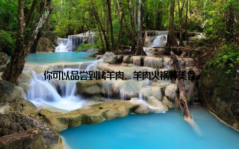 你可以品尝到烤羊肉、羊肉火锅等美食