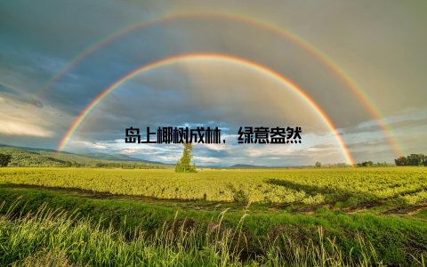 岛上椰树成林, 绿意盎然