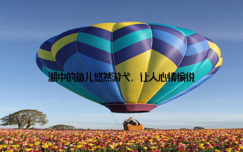 湖中的鱼儿悠然游弋, 让人心情愉悦