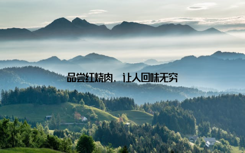 品尝红烧肉, 让人回味无穷