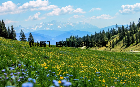 快来厦门, 感受那份悠闲与浪漫吧!