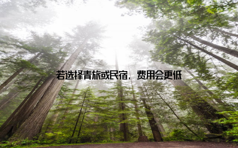 若选择青旅或民宿, 费用会更低