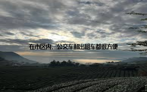 在市区内, 公交车和出租车都很方便