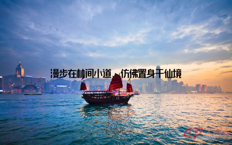 漫步在林间小道, 仿佛置身于仙境