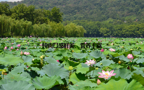 炖肉口感鲜美, 营养丰富