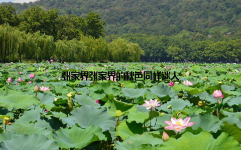 张家界张家界的秋色同样迷人