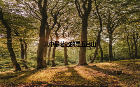 其中最著名的是五台山
