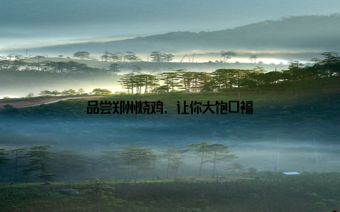 品尝郑州烧鸡, 让你大饱口福