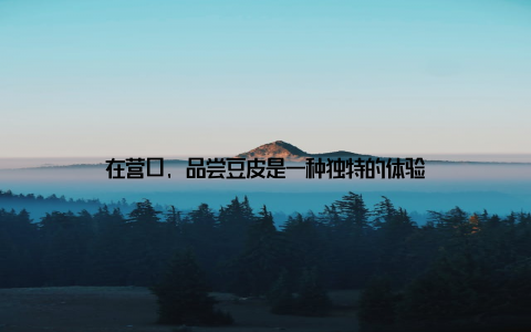 在营口, 品尝豆皮是一种独特的体验