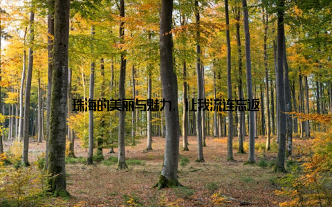 珠海的美丽与魅力, 让我流连忘返