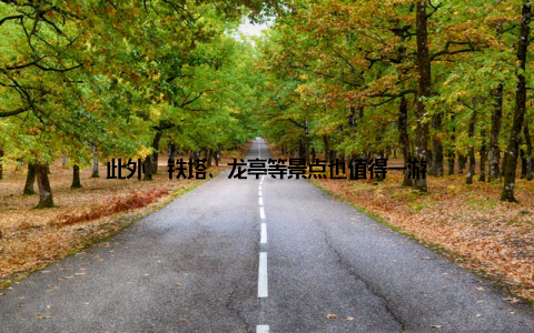 此外, 铁塔、龙亭等景点也值得一游