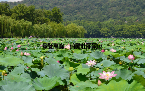 攀登高峰, 俯瞰壮丽景色