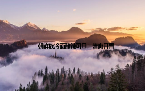 – 朝鲜族冷面酸辣可口, 清爽开胃