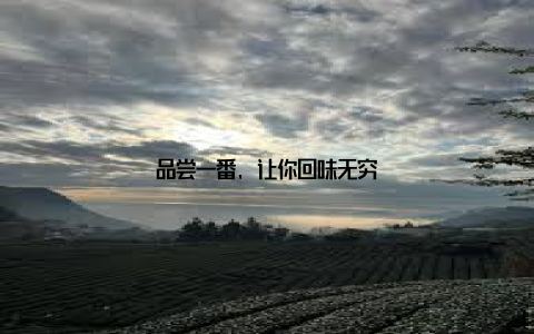 品尝一番, 让你回味无穷