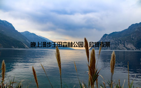晚上漫步玉田森林公园, 欣赏夜景