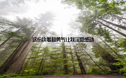 这份执着和勇气让我深受感动